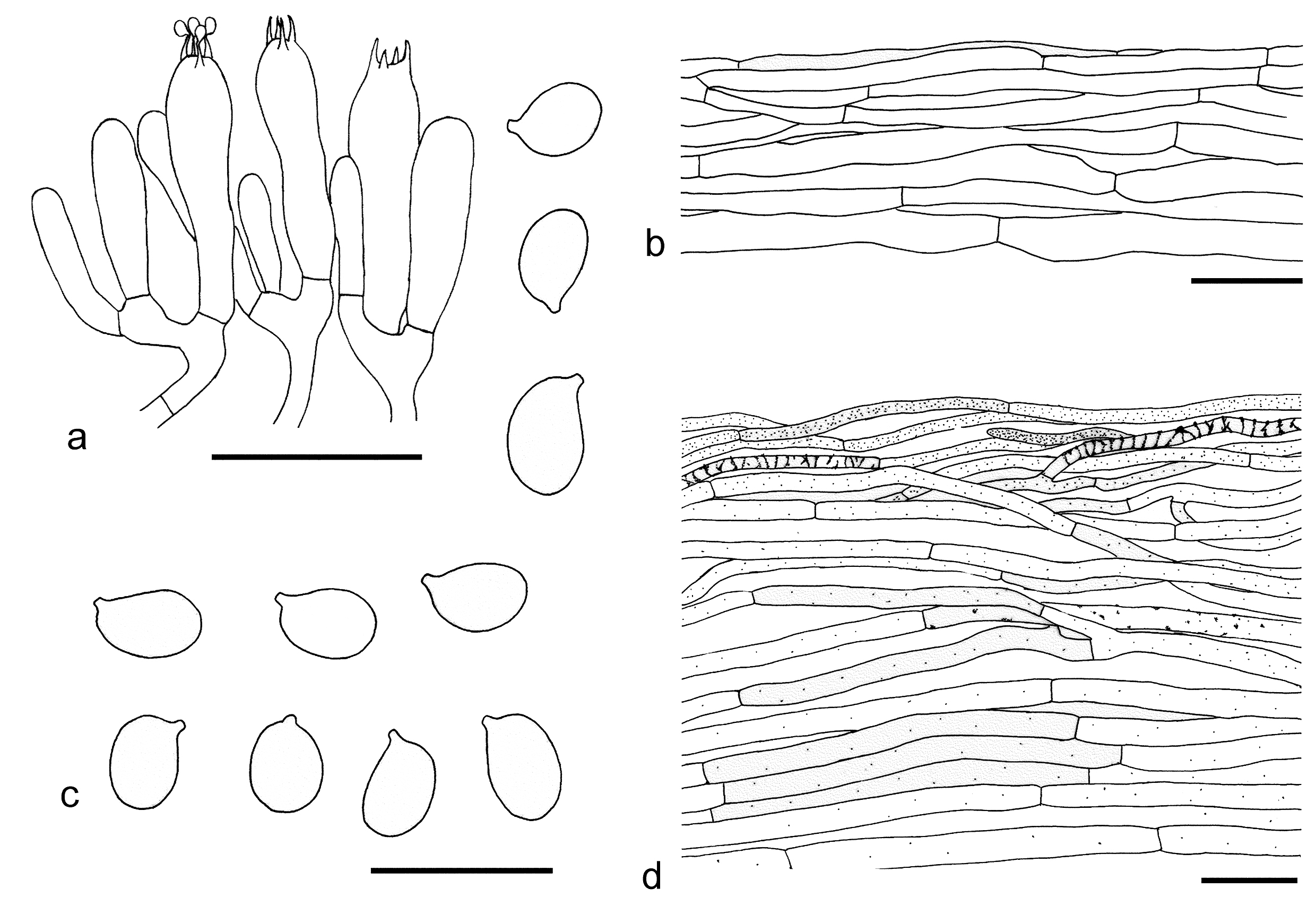 Figure 48